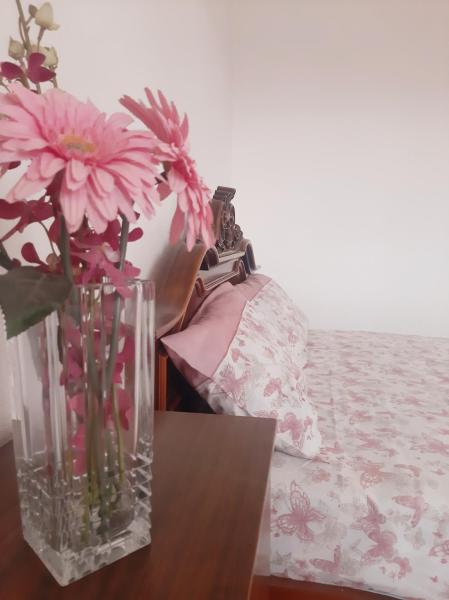 Travelers Home, Rezervovat  Durrës Durres County
