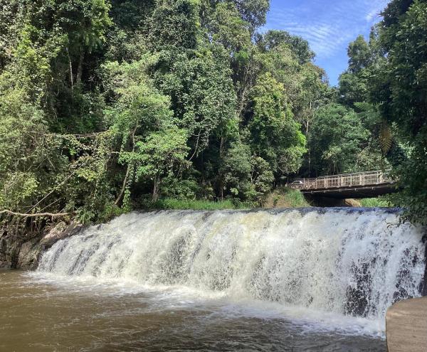 Malanda Falls Retreat, Rezervovat  Malanda Queensland