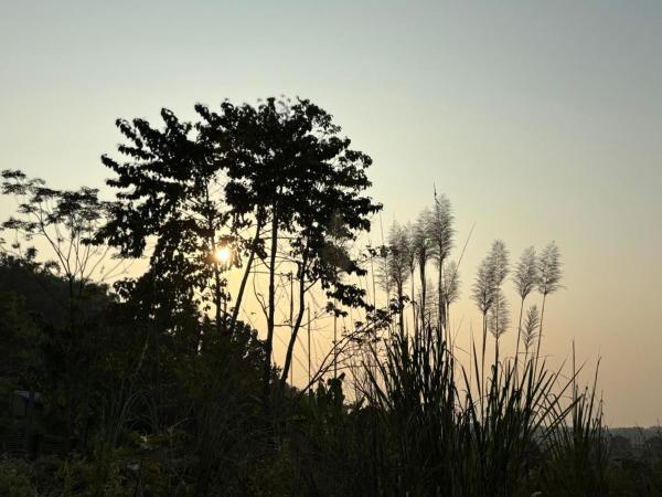 Teplong - The Paix, Kaziranga, Rezervovat  Kaolākhāt Assam