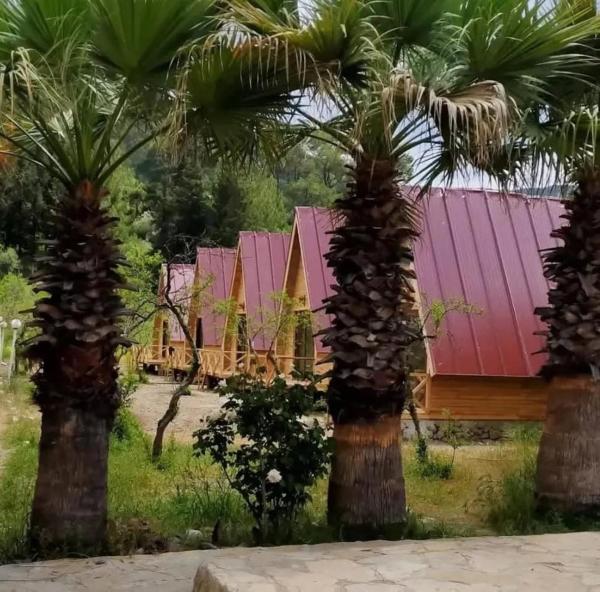 donkisot dogal yasam, Rezervovat  Yazir hotely s bazénem, Bazén