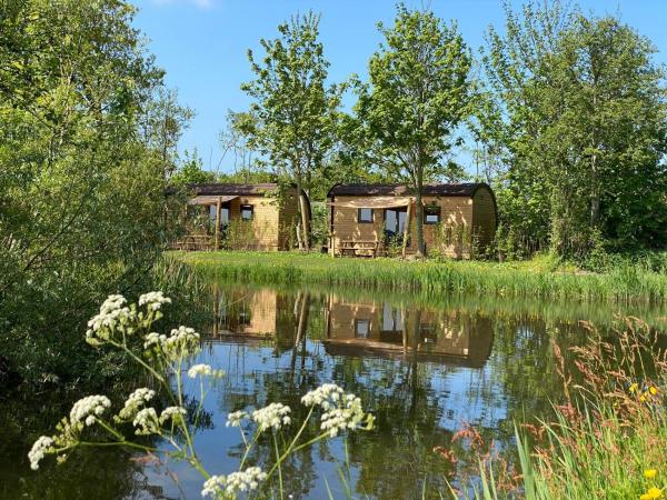 Aqua Lodge, Rezervovat  Hotely v Rotterdam s bazénem, Bazén