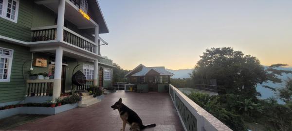 Ringkingpong homestay, Rezervovat  Kalimpong West Bengal