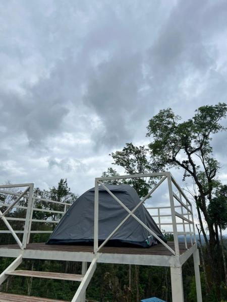 Bee tree adventure park tent stay, Rezervovat  Madikeri 