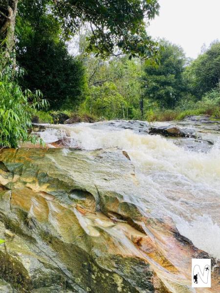Coffee Voyages, Rezervovat  Madikeri 