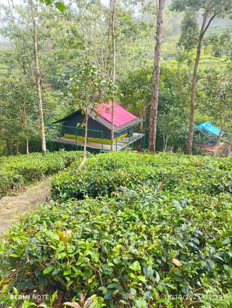 Organic Farmers Tent & Trekking, Rezervovat  Yedapalli Tamil Nadu