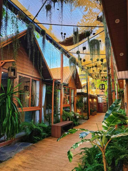 Nhà Của An Homestay, Coffee & Spa Long Xuyên, Rezervovat  Ấp Mỹ Qứi An Giang