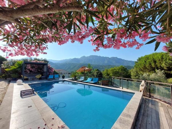 Villa rundinella, Rezervovat  Vero Korsika