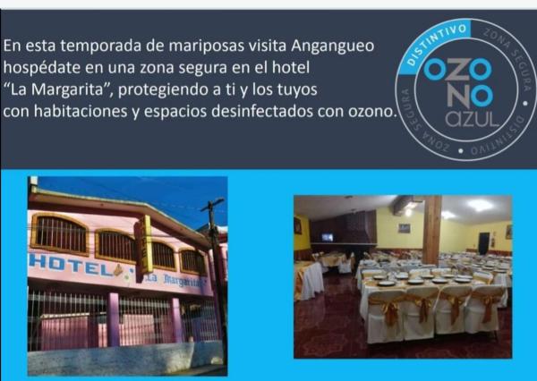 Hotel La Margarita, Rezervovat Hotel Hotely v Michoacan s parkováním, Parkování