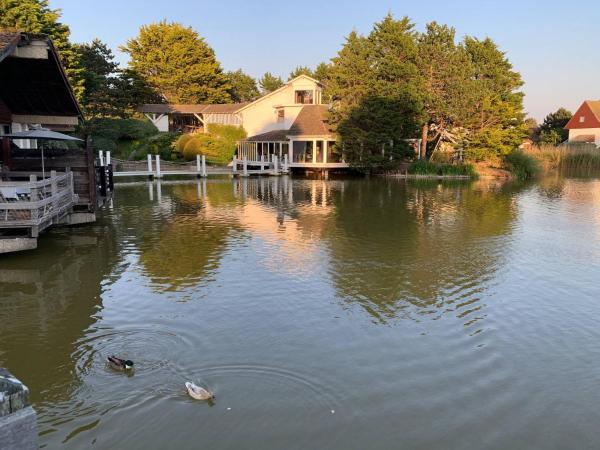Large lakeside house - Mayvillage, Rezervovat  Le Touquet-Paris-Plage 