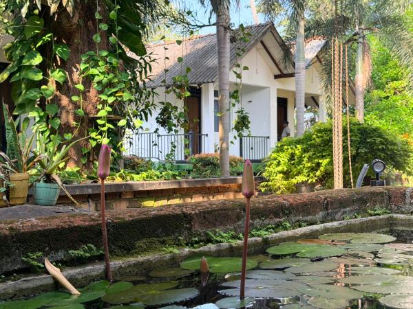 Greenfield Haven, Rezervovat  Nikawatawana Matale District