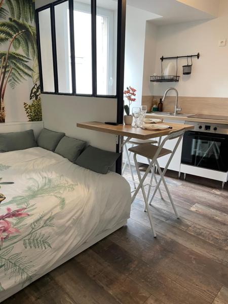 CLIMATISÉ appartement design hypercentre Gare & espresso offert, Rezervovat  Castelnaudary Canal du Midi