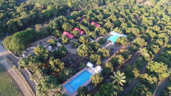 Danak Farm And Resort, Rezervovat  Gujarat hotely s bazénem, Bazén