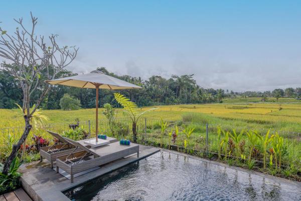 Aranya Ubud Villa, Rezervovat  Bali hotely s bazénem, Bazén
