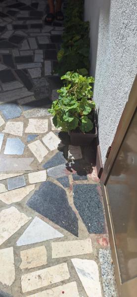 Apartman Villy 2, Rezervovat  Kvarner hotely s parkováním, Parkování