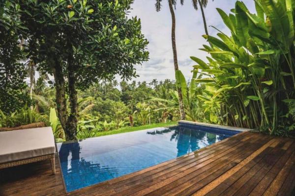 Asheeqa Lush Garden 1 BR Private Pool Villa, Rezervovat  Bali hotely s bazénem, Bazén