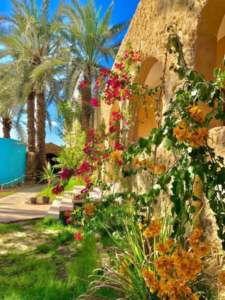 Arkan siwa أركان سيوة, Rezervovat  North Coast hotely se snídaní, Snídaně