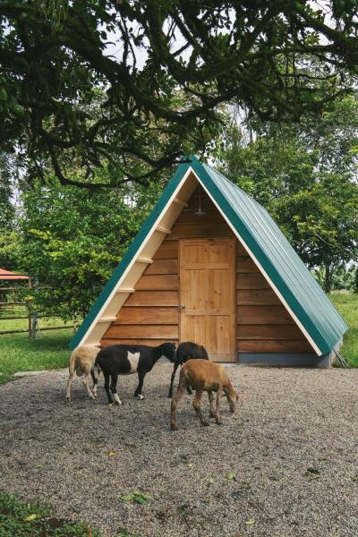 Musasana Wellness Farm, Rezervovat  Puerto Viejo Heredia