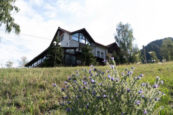 Pensiunea La Radu, Rezervovat  Hotely v Carpathians - Romania s parkováním, Parkování