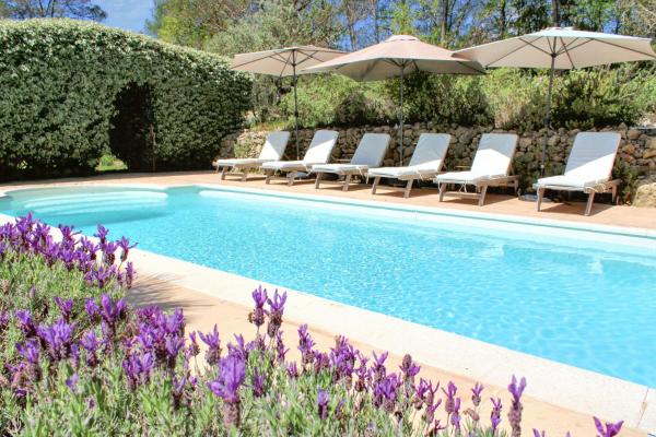 Provençal Villa With Pool Near St Antonin Du Var, Rezervovat  La Caravane hotely s bazénem, Bazén