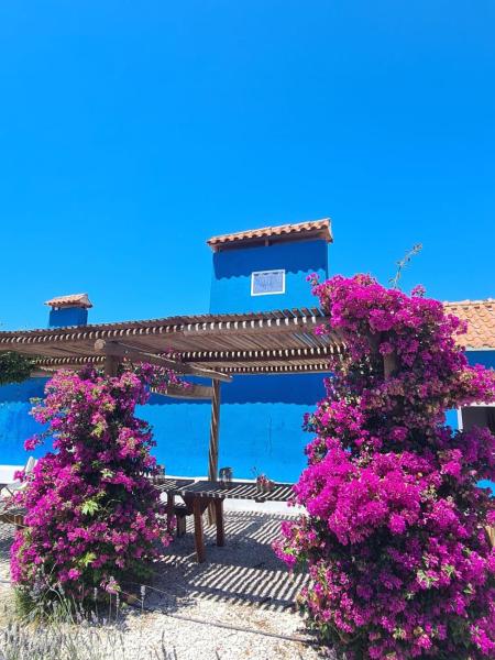 CasAzul Slow Stay in Nature, Rezervovat  Bicas Centro Region