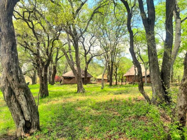 River Range Camp, Rezervovat  Pandamatenga Zimbabwe
