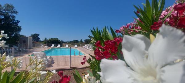 Porto Vecchio - Résidence RIVIERA- Villa Santa Giulia, Rezervovat  Korsika hotely s bazénem, Bazén