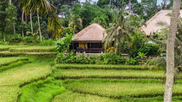 Imperial Villa in Ubud - Majestic Beauty and Nature, Rezervovat  Bali hotely s bazénem, Bazén