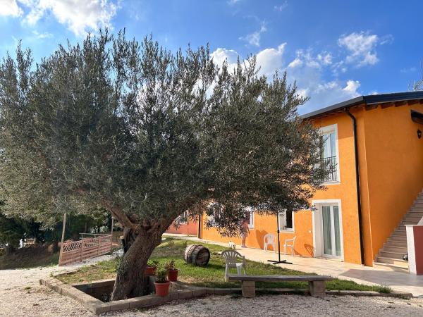 Agriturismo Collamato, Rezervovat  Marche hotely s bazénem, Bazén