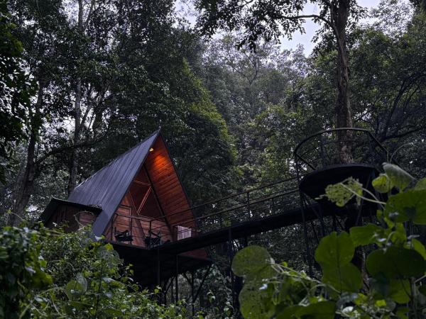 Wildvibes India, Rezervovat  Meppādi Wayanad