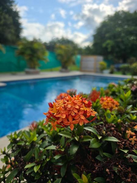 Cabañas la Familia, Rezervovat  Nueva Gorgona Panamá