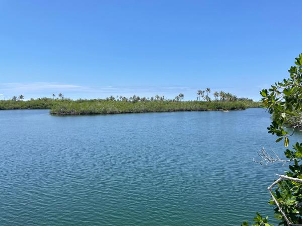 Prueba1, Rezervovat  Tintipan Island Bolivar