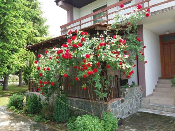 Riverside Villa Matka, Rezervovat Vila Skopje hotely s bazénem, Bazén