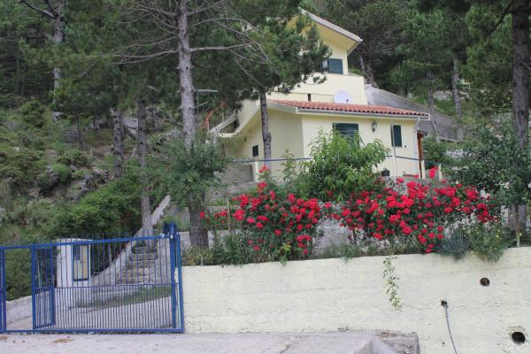 Eagles nest, Rezervovat  Llogara Vlorë County