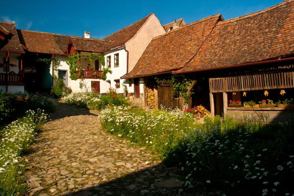 Casa cu zorele, Crit 189, Rezervovat   