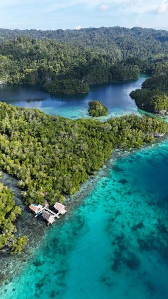 Sunrice Raja Ampat, Rezervovat  Besir 