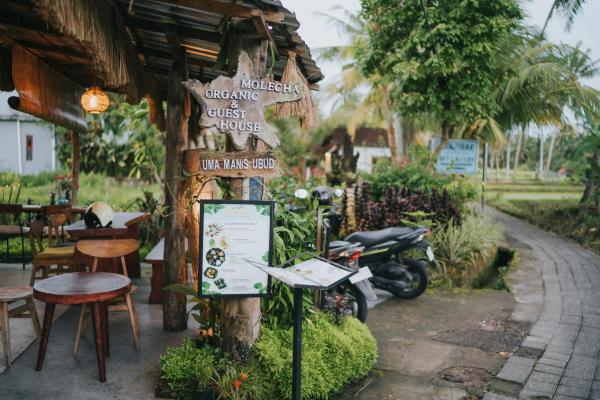 Sawah Manis Guest House, Rezervovat  Bali hotely s bazénem, Bazén