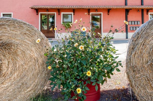 Agriturismo La Meridiana, Rezervovat  Hotely v Lazio s parkováním, Parkování
